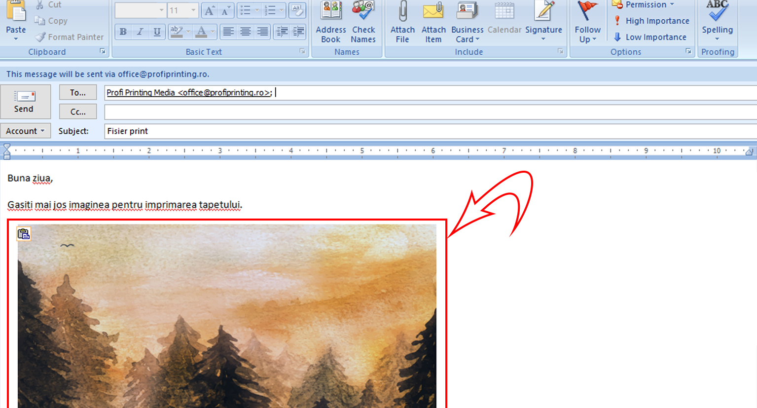 imagine la print in corpul emailului